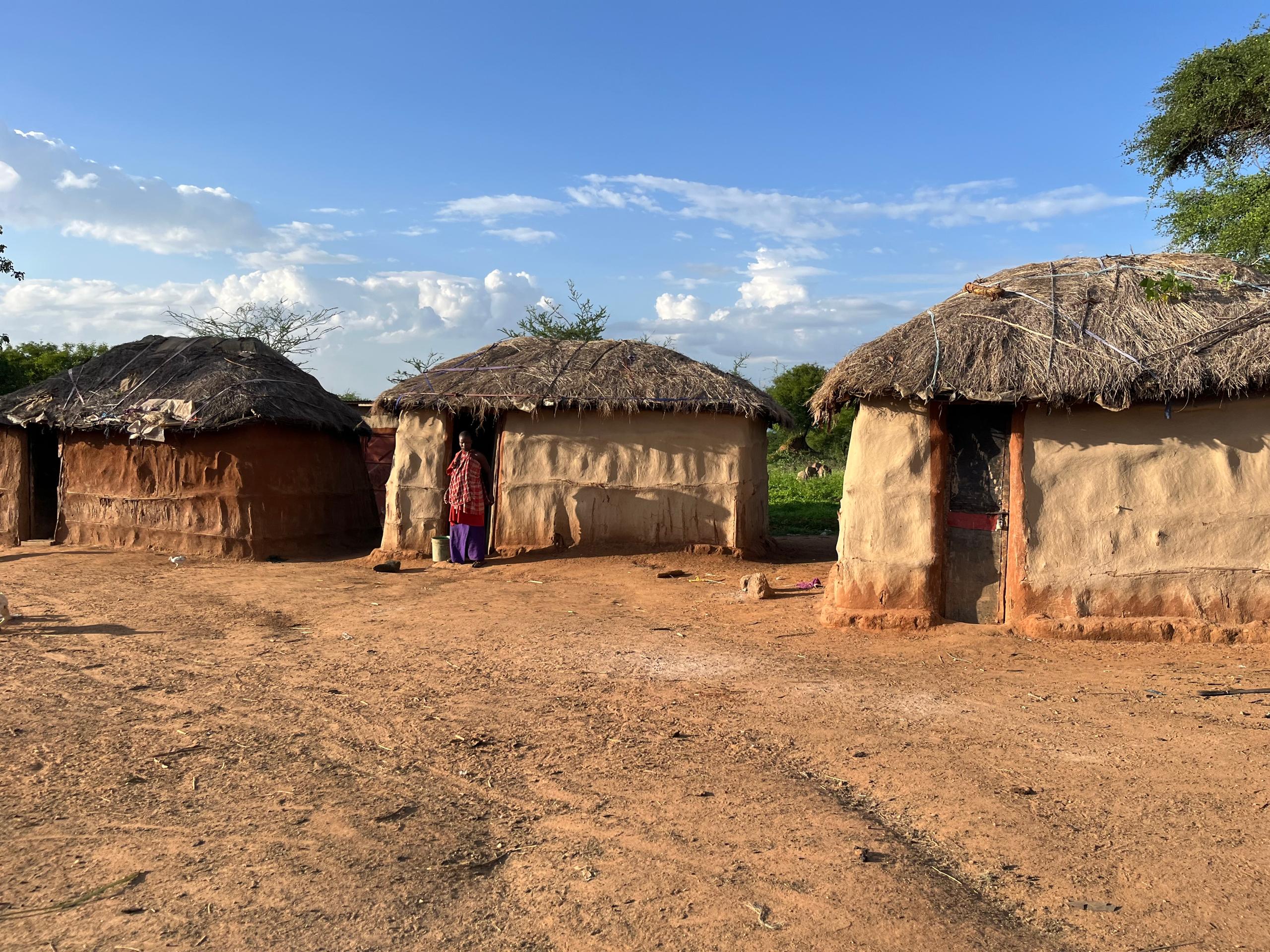Traditional Maasai houses with thatched roofs in a dry landscape.